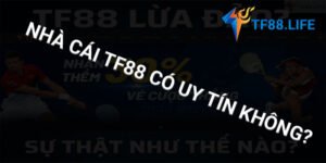 tf88-co-uy-tin-khong-dai-dien